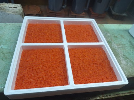 Cliquez pour agrandir l'image